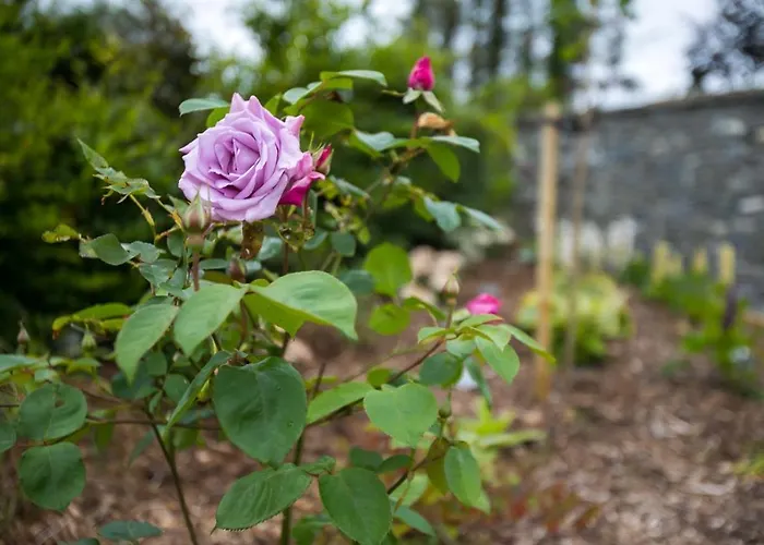 The Paddocks - Stylish, Cozy & Private Chalet *