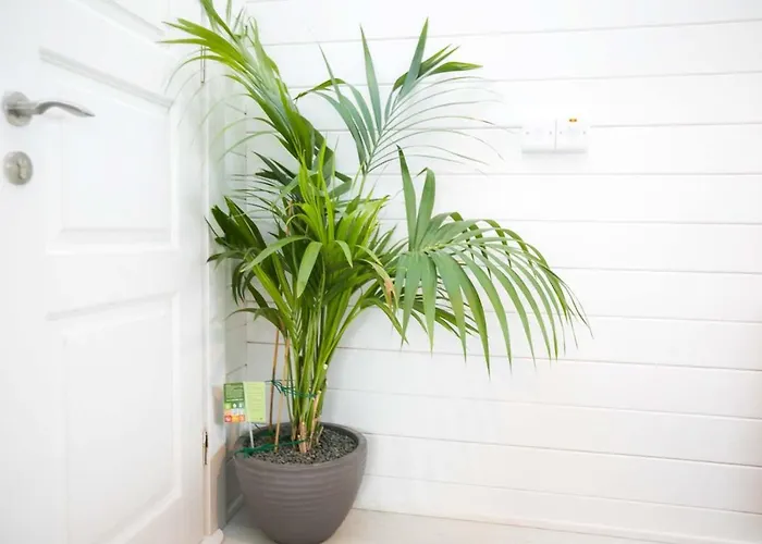 The Paddocks - Stylish, Cozy & Private