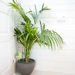 The Paddocks - Stylish, Cozy & Private