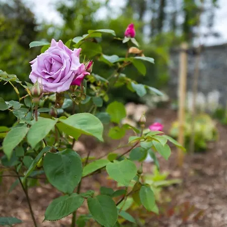 The Paddocks - Stylish, Cozy & Private 샬레 *